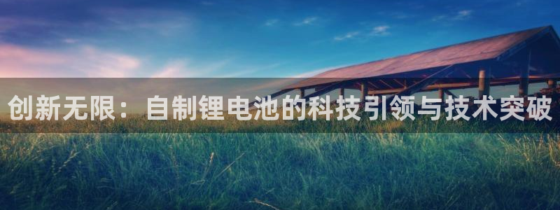 usdt交易平台网站：创新无限：自制锂电池的科技引领与技术突破