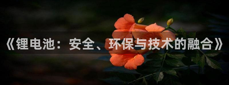 usdttrc20钱包地址指定生成：《锂电池：安全、环保与技术的融合》