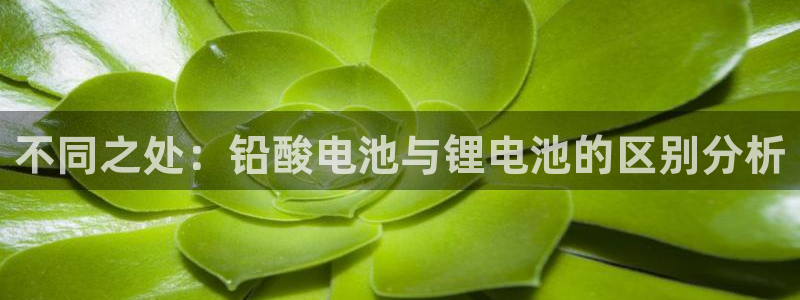trc20 usdt 钱包：不同之处：铅酸电池与锂电池的区别分析